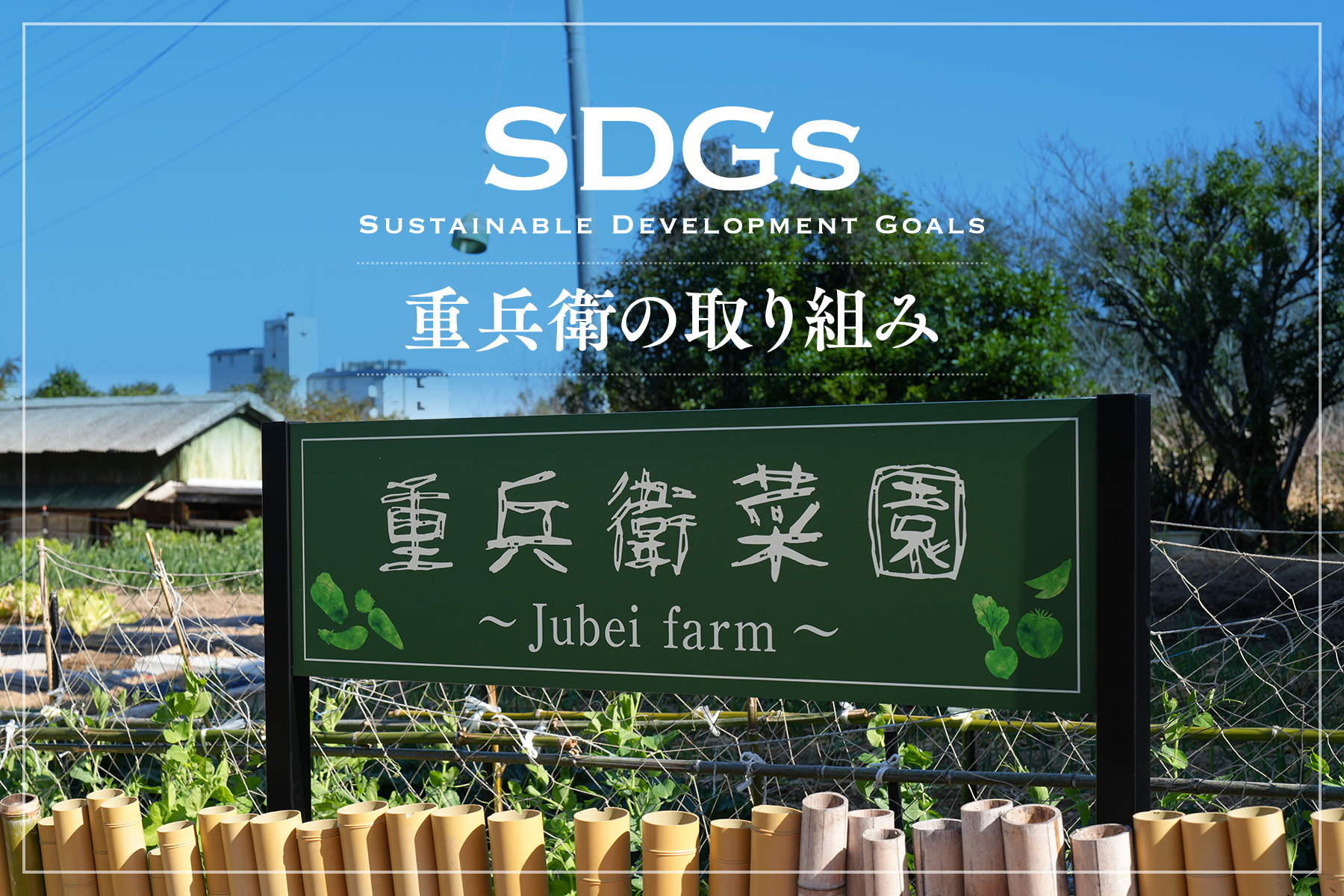 重兵衛のSDGsへの取り組み