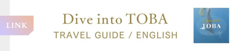 Dive into TOBA（External link）