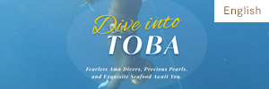 dive into TOBA