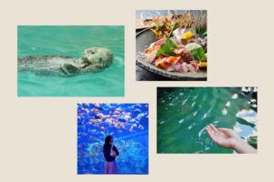 国内で唯一ラッコとジュゴンに会える鳥羽水族館