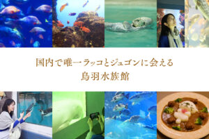 国内で唯一ラッコとジュゴンに会える鳥羽水族館