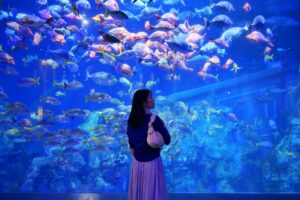希少なラッコとジュゴンに会える鳥羽水族館