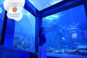 鳥羽水族館のコーラルリーフダイビング