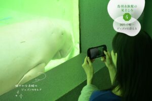 鳥羽水族館といったらジュゴンのセレナ