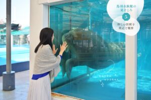体重600kgを超えるセイウチの「ツララ」ちゃん