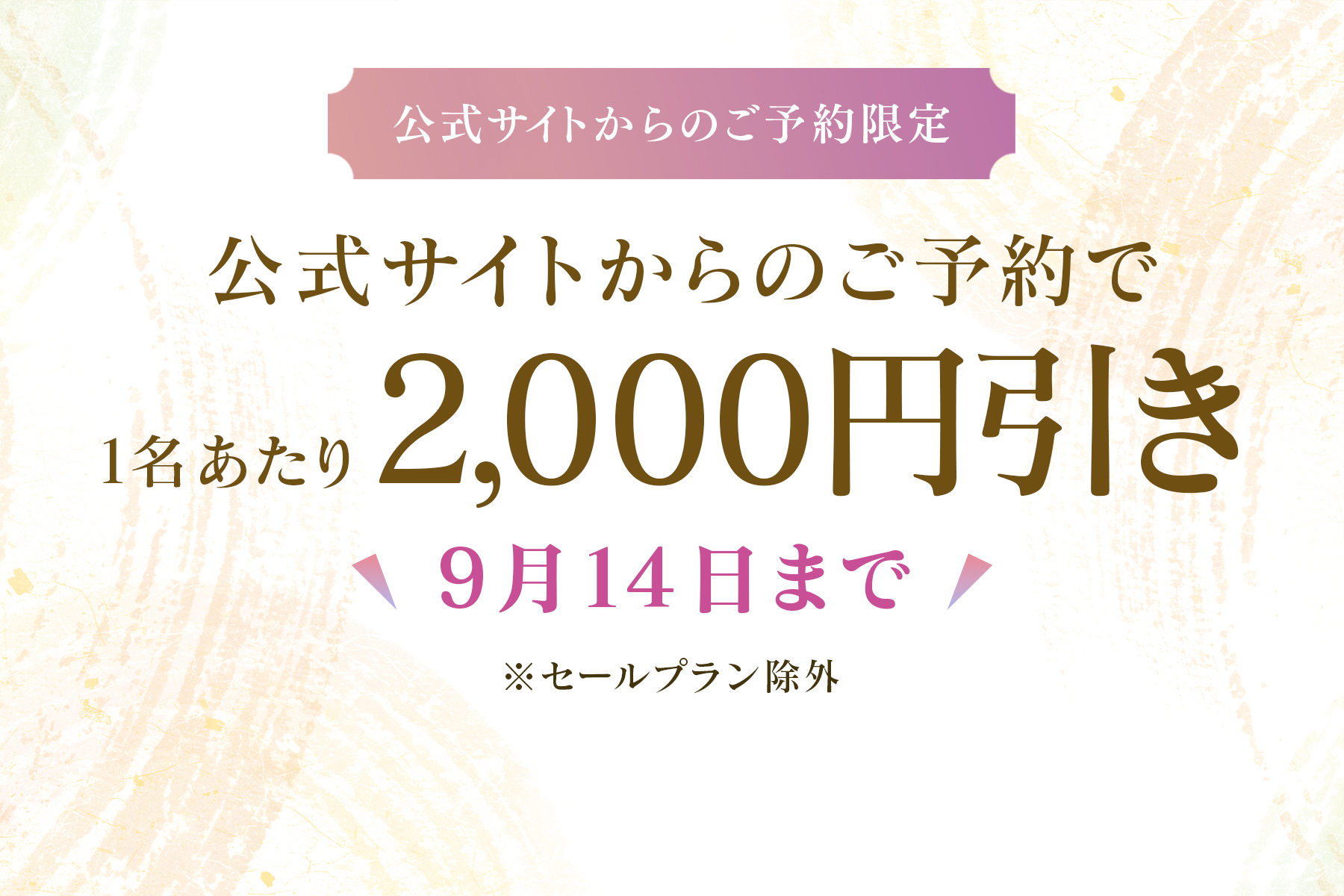 【公式サイト限定】お得な夏休みキャンペーン！