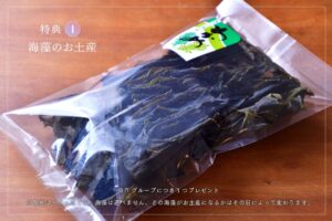 お得なキャンペーン第2弾