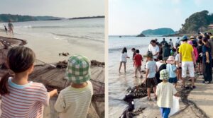 相差地曳網体験